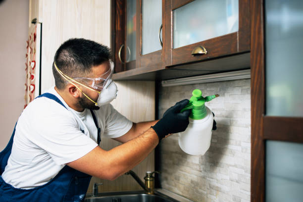 Best Exterminator Services  in Cienegas Terrace, TX