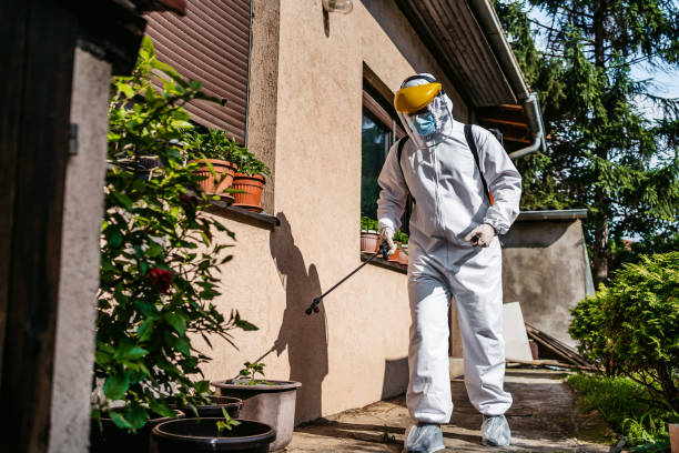 Insect Control in Cienegas Terrace, TX