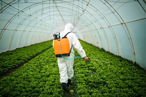 Best Residential Pest Control  in Cienegas Terrace, TX