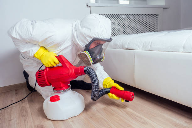 Best Best Pest Control Companies  in Cienegas Terrace, TX