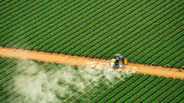 Best Pest Prevention Services  in Cienegas Terrace, TX