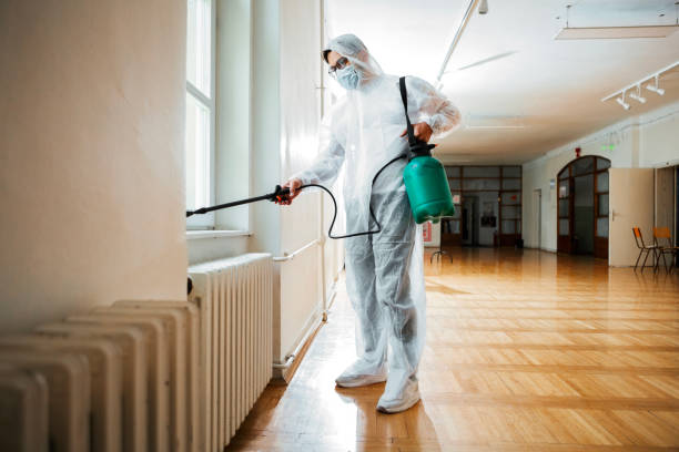 Best Affordable Pest Control Services  in Cienegas Terrace, TX
