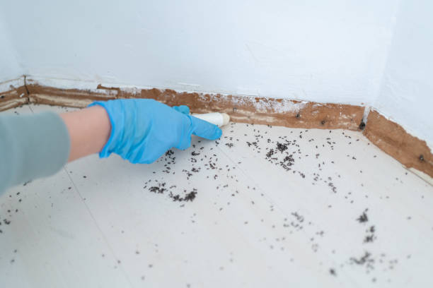 Wildlife Control Services in Cienegas Terrace, TX