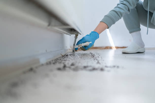 Best Pest Inspection Near Me  in Cienegas Terrace, TX
